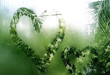 印度最干凈的地方，竟然是這樣的一個(gè)村莊